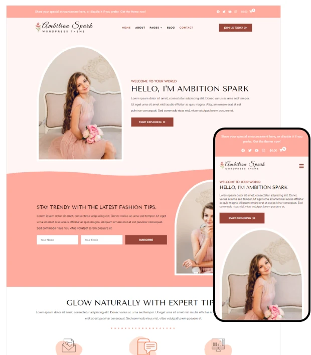 Ambition Spark – best WordPress theme for portfolio