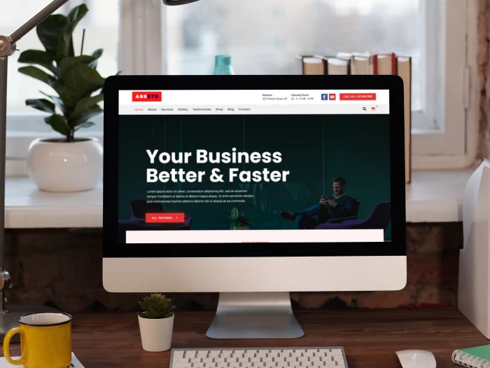 Assets WordPress- Website Theme