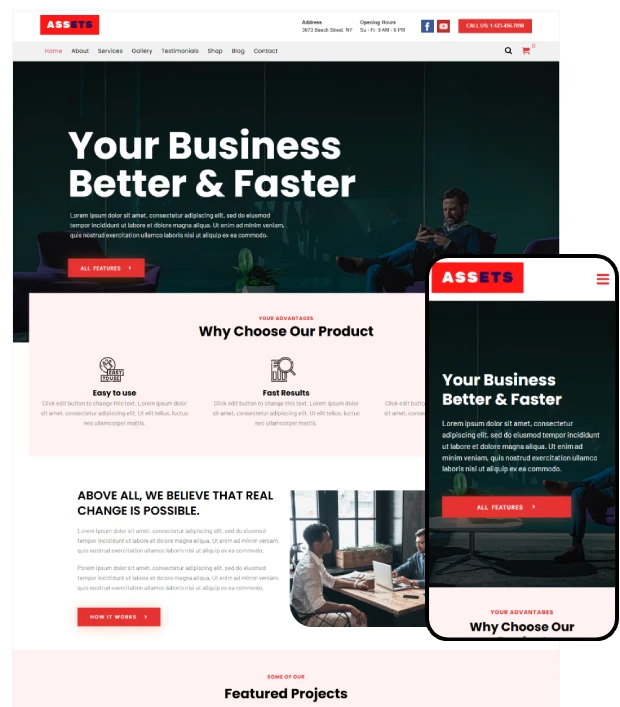 Assets Multi-Purpose WordPress Theme