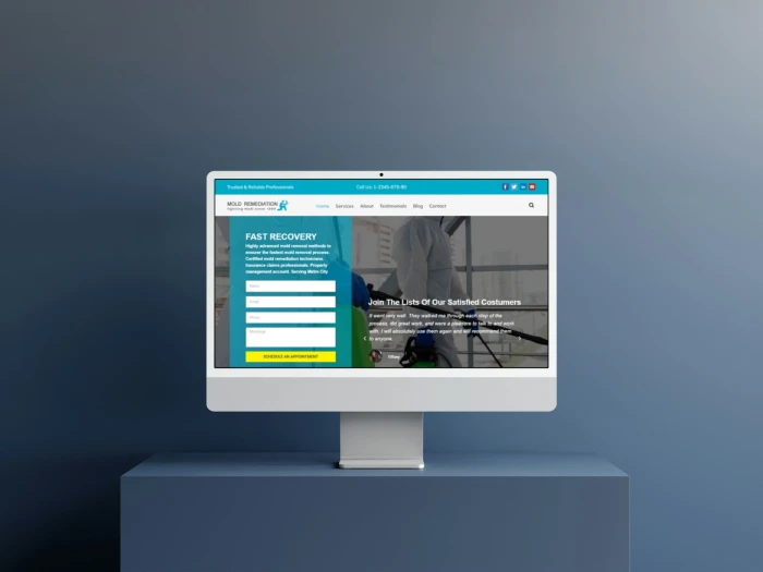 Mold Remediation WordPress- Website Theme