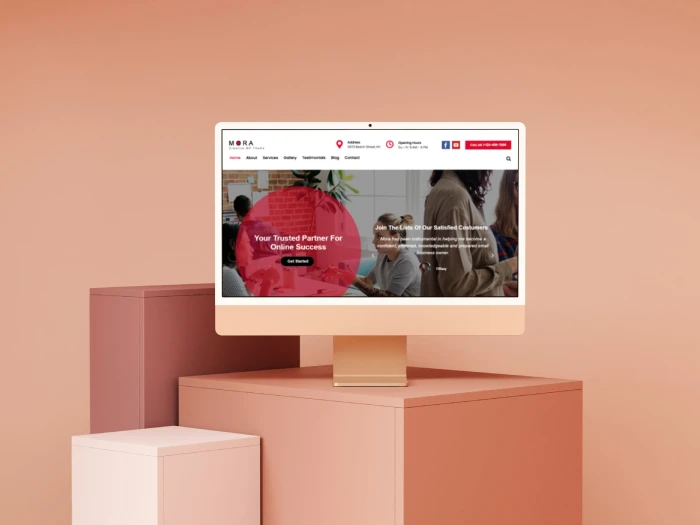 Mora WordPress- Website Theme